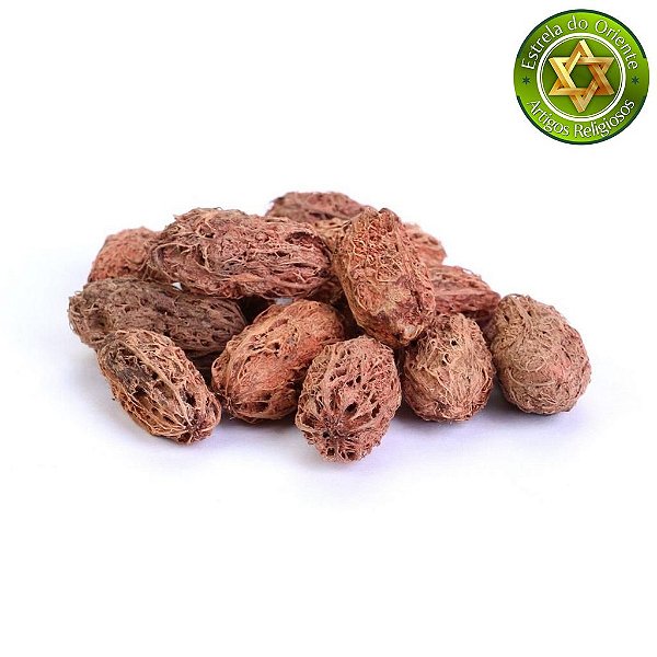 Fava de Exu Bara