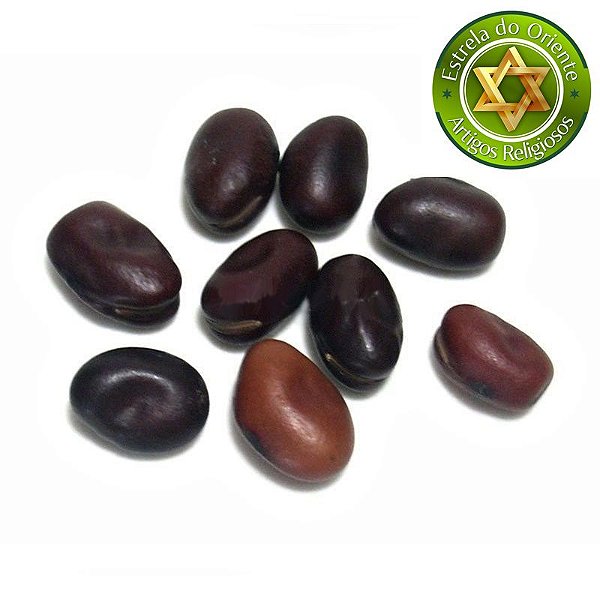 Fava da Saúde