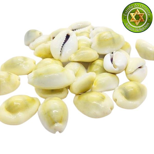 Búzio Buzios Gema Pequeno Fechado Peso 50g