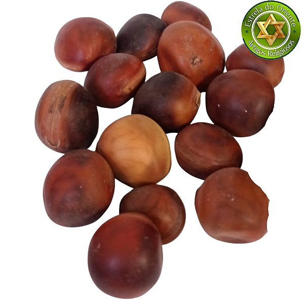 Olho de Boi - Fava Mucunã