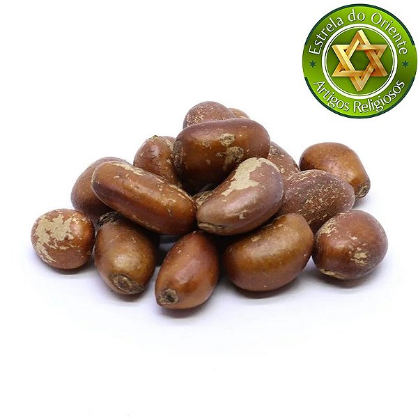 Fava de Ario