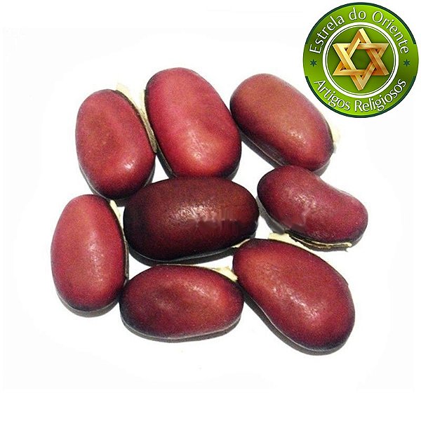 Fava de Logun Ede