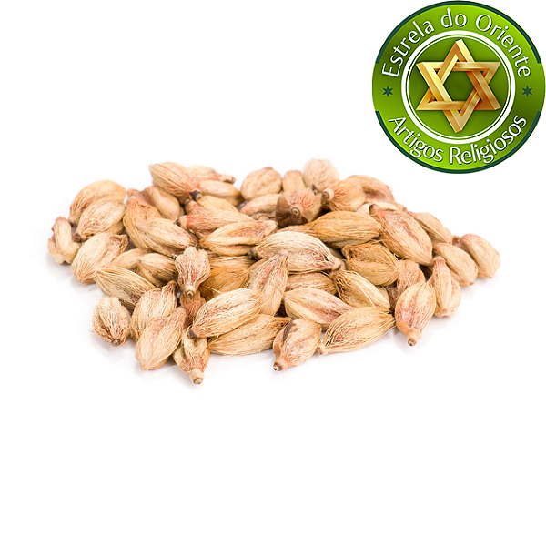 Fava Chama Dinheiro