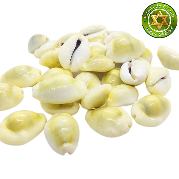 Búzio Buzios Gema Grande Fechado Peso 50g