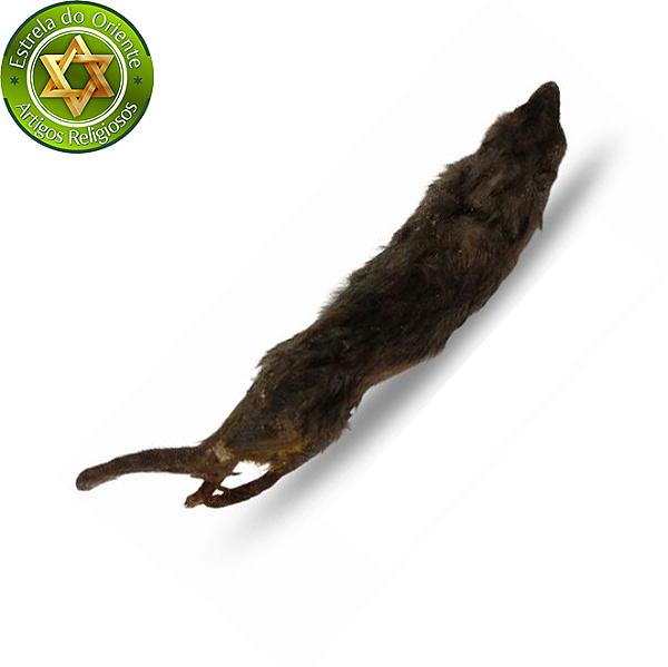 Eku Asin unidade Eku Asinrin