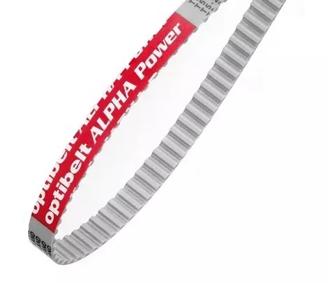CORREIA 0202277
