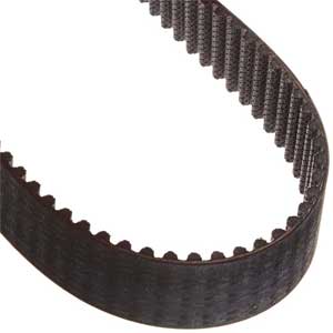 CORREIA 0233837 REXON