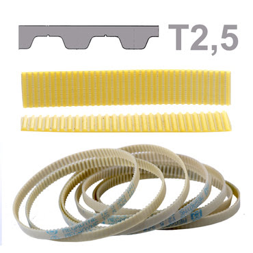 CORREIA 0240002