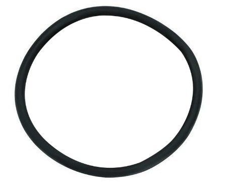 Amanco Anel Vedação 100