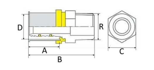 Pex Gás Amanco Conector Transição M Gás Dn26x3/4