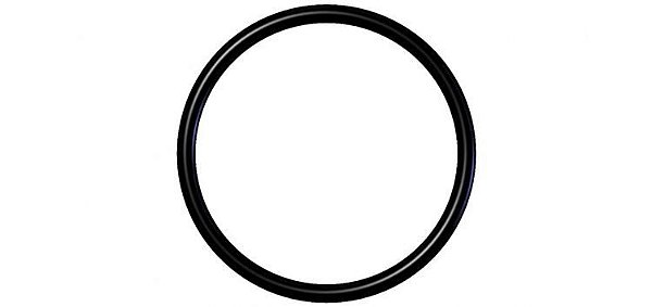 Anel O Ring 19,0mm X 2,3mm Blukit