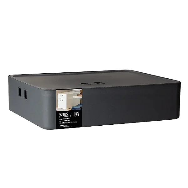ORGANIZADOR C/ TAMPA 49X35X12 CM FLY 19,0 LTS CHUMBO