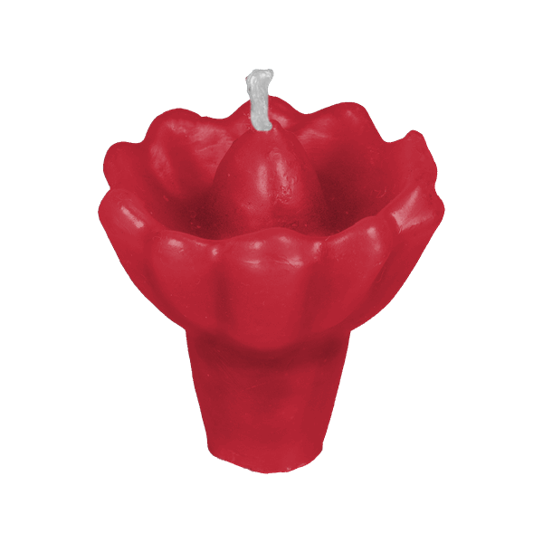 Vela Flor N02 (40g)