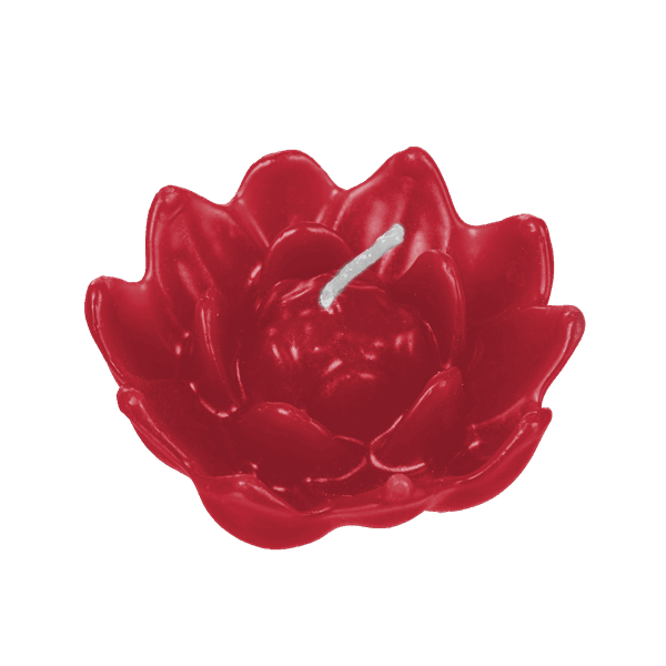 Vela Flor N06 (61g)