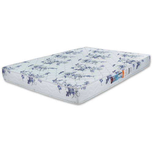 CELEBRITY D28 BORDADO