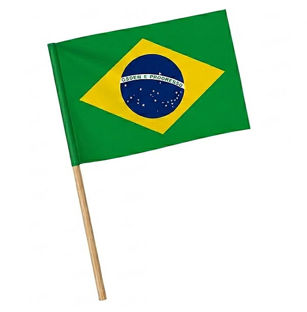Bandeira do Brasil Plástica de Mão com Cabo Flâmula Haste Torcida Copa do Mundo Jogos Olímpicos Desfile 7 de Setembro Festa Nações