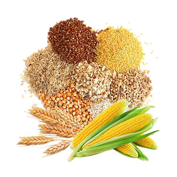 RACAO PRODAC PONDFLAKES  160G