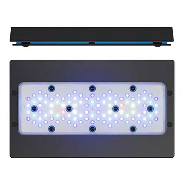 LUMINARIA LED ECOTECH RADION XR30 BLUE