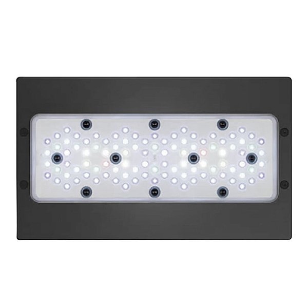 LUMINARIA LED ECOTECH RADION XR30 PRO