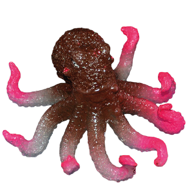 ENFEITE DE SILICONE SOMA JELLY POLVO