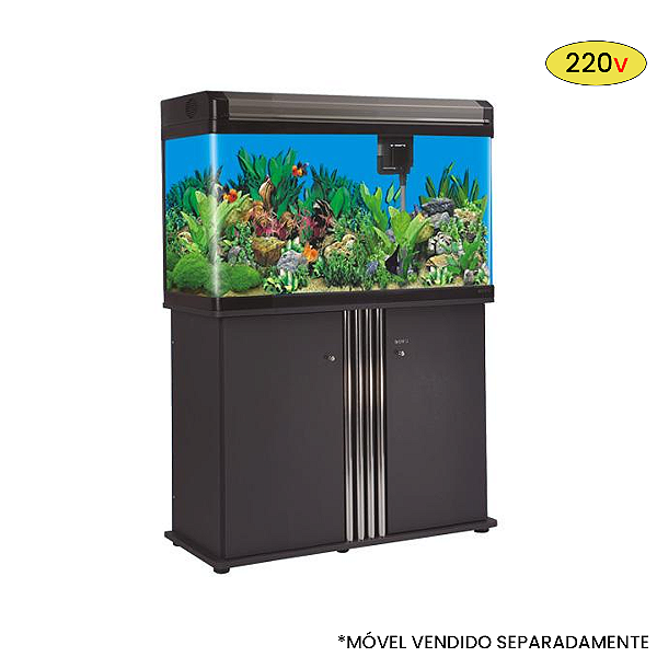 AQUARIO CURVO BOYU EA- 60 LED 99L PRETO/CHAMPAGNE LIGHT 220V