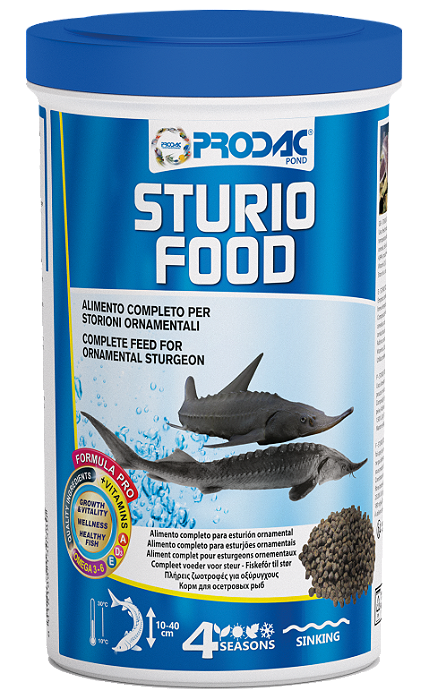 RACAO PRODAC CARNIVORES LARGE GRANULES (STURIO FOOD)  700G
