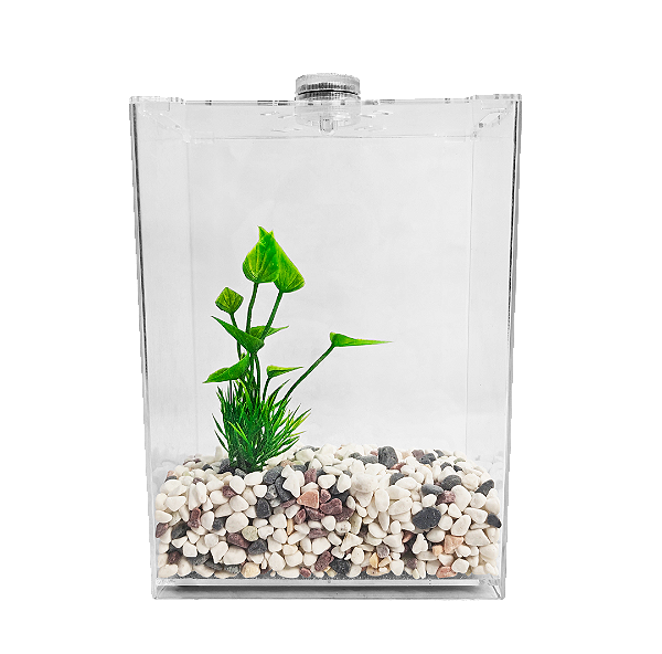 BETEIRA ACRILICO COM LED SOMA NB-3000K KIT COM SUBSTRATO E PLANTA (3L)