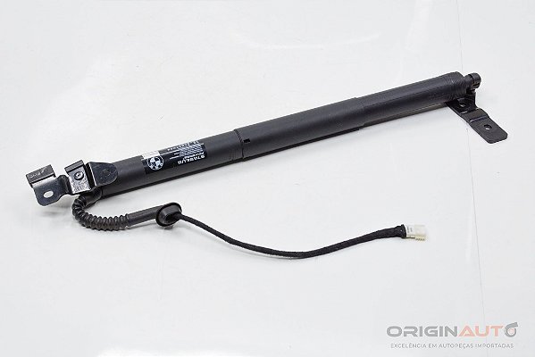 Amortecedor Tampa Traseira Dir BMW X5 35I F15 2014 7361878