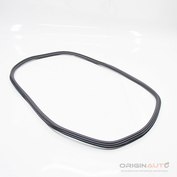 BORRACHA PORTA TRASEIRA AUDI A4 2.0 TFSI B9 2018 8W5833721