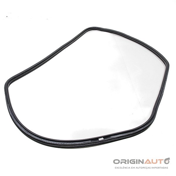 Borracha Porta Traseir Dir BMW 320i 2014 F30 7303967