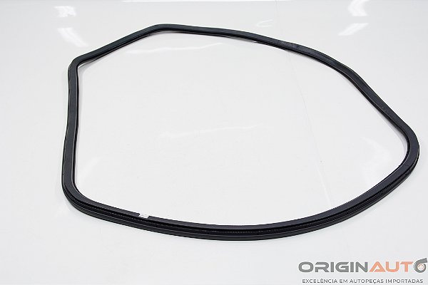 BORRACHA PORTA TRASEIRO DIREITO VOLKSWAGEN PASSAT VARIANT 2012 3C9867913B