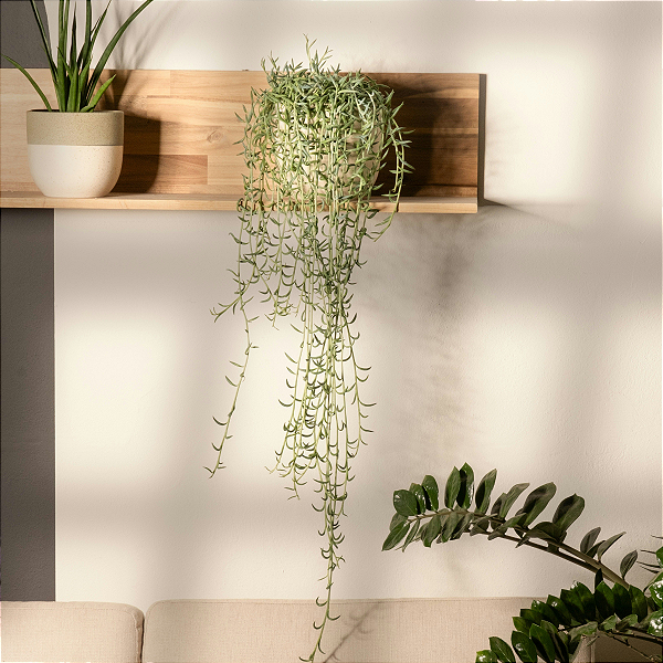 Cuidando da Nossa Casa