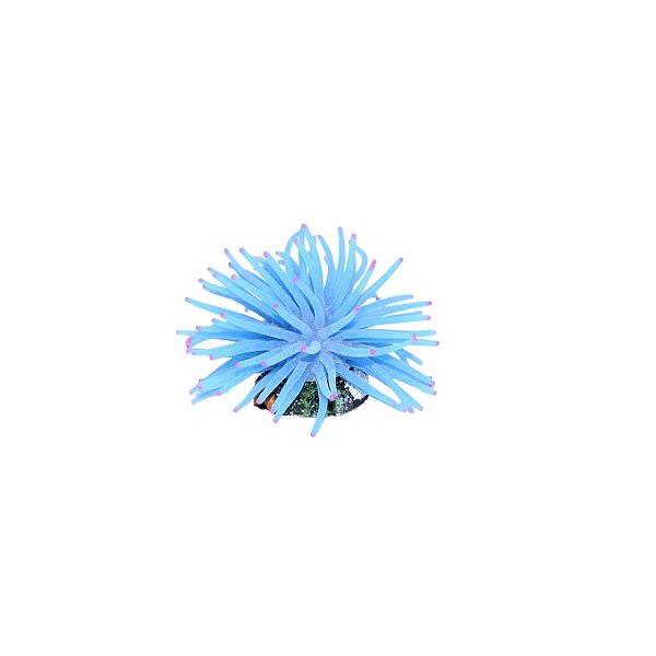 ENFEITE DE SILICONE SOMA ANEMONA SHORT AZUL  6 CM
