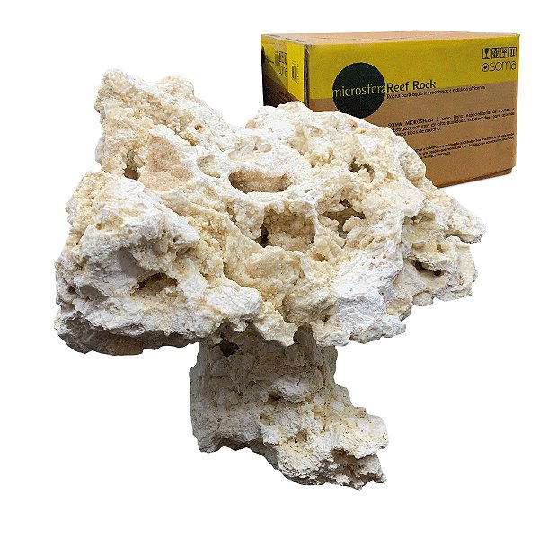 ROCHA MARINHA SOMA MICROSFERA REEF PLATE PEDESTAL NATURAL TOP 5UN (CX)