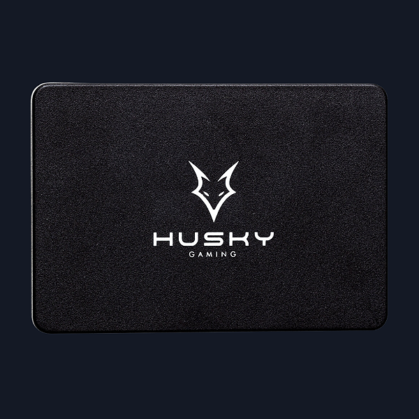 SSD 256 GB HUSKY GAMING, 2.5, SATA III, LEITURA 570MB/S E GRAVACAO 500MB/S, PRETO - HGML001