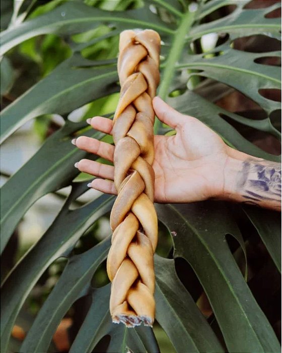 Natuka Trança Bovina SEM PELOS - M