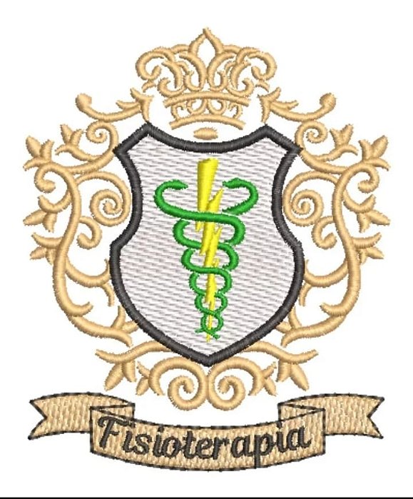 Bordado Fisioterapia com ramo
