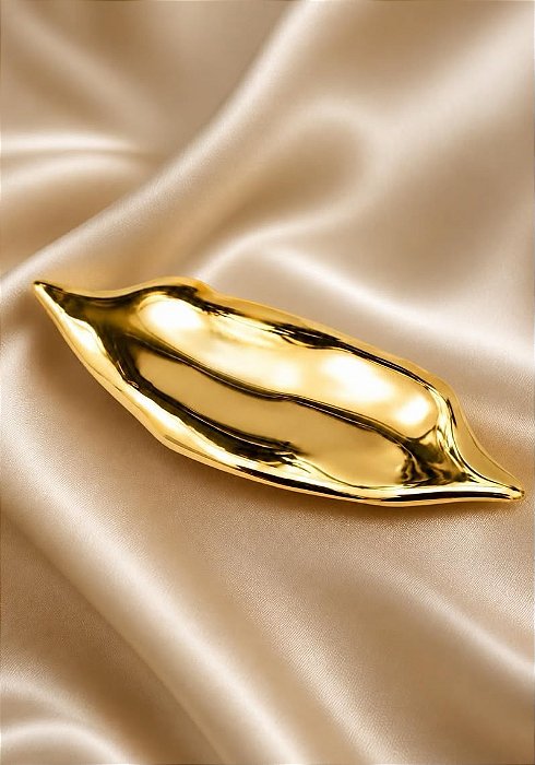 Broche Polido Orgânico de Imã