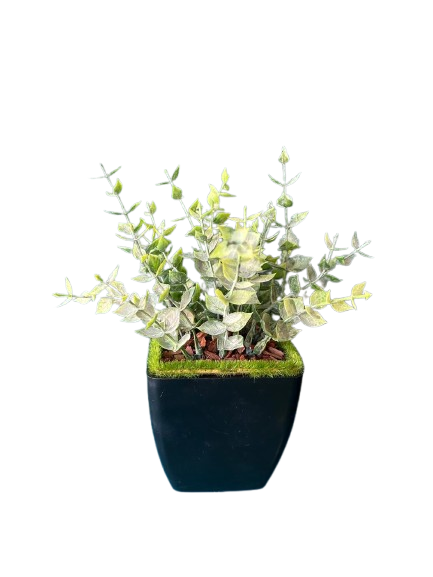 Arranjo Mini Eucalipto Artificial de Toque Real