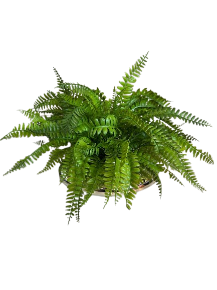 Arranjo Samambaia Artificial de Toque Real