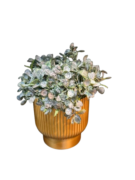 Arranjo Mini Buxinho Artificial Decor