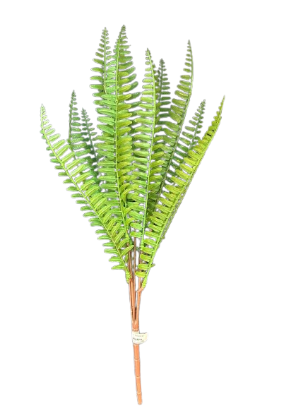 Buquê Samambaia Artificial Real Toque