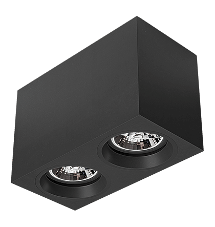 Luminária de Sobrepor Retangular Facho orientável 21,3x11x14cm 2x PAR20 LED Alumínio Preto fosco.