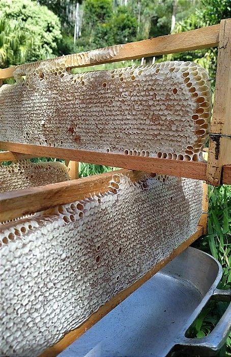 FAVO DE MEL IN NATURA 300g