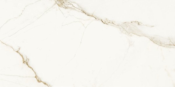 CALACATA GOLD POLIDO - 58X120