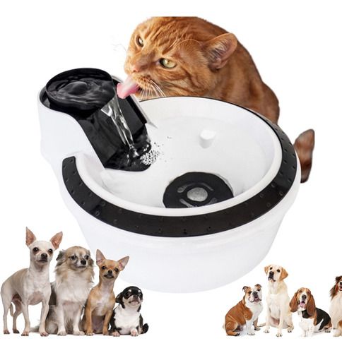 Fonte Bebedouro Cães Gatos 2 Litros 110v C/ Filtro De Carvao
