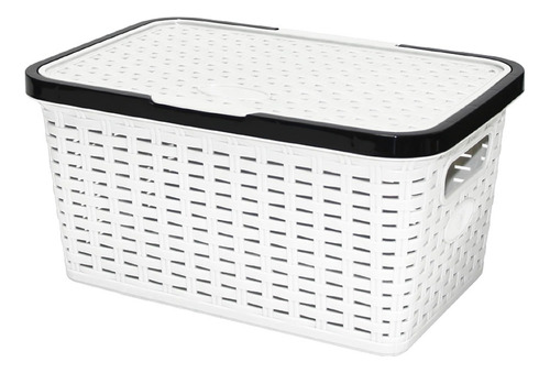 Caixa Organizadora Bicolor Com Tampa 15l-branco