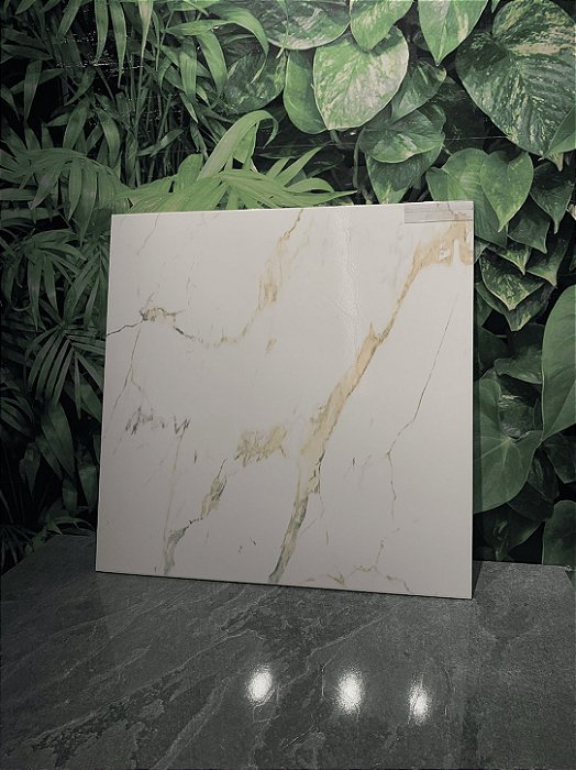 CERAMICA (A) BRILHANTE 58X58 5002 2,35