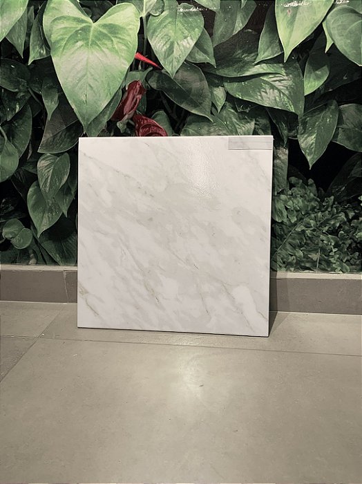 Ceramica 46026 Brilhante 46x46 Classe A - Viva