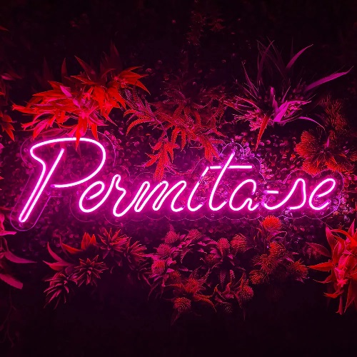 Letreiro Luminoso Painel Neon Permita-se 20 x 70